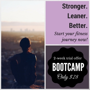 Bootcamp Special Offer $28